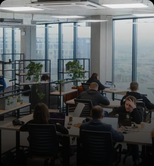 Professionals Services 